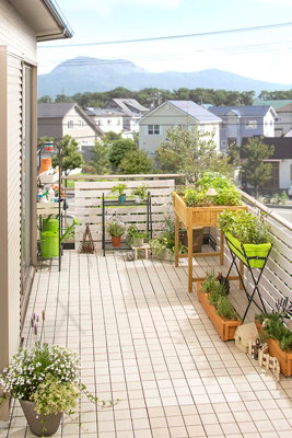 Plant Stand 2 Shelf VegTrug - Indoor/outdoor