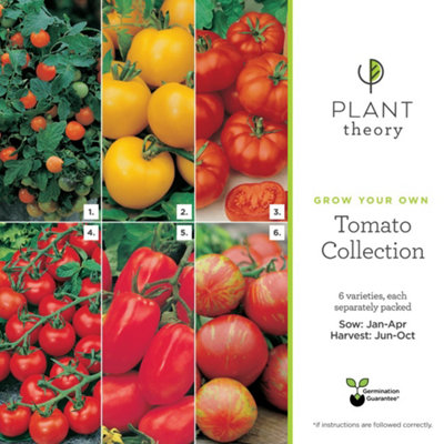Plant Theory Extra Tasty Tomato Collection Seeds