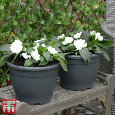 Planter Sabina Dark Grey (Anthracite) 32cm Pot x 1