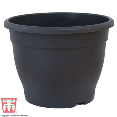 Planter Sabina Dark Grey (Anthracite) 32cm Pot x 2
