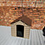 Plastic Dog Kennel House in Brown Garden Patio 71cm x 71cm x 68cm