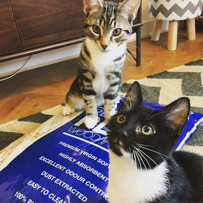 Platinum Plus Animal Cat & Kitten Litter Wood Pellets Premium Biodegradable Softwood for House Training Cat Litter 15kg (30L Bag)