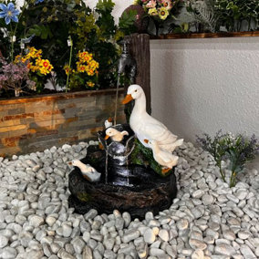 Playful Ducks Solar Powered Water Feature With Cover