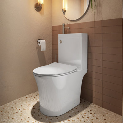 Plum&Clay Ajax 2 in 1 Close Coupled Rimless Toilet Pan with Cistern ...