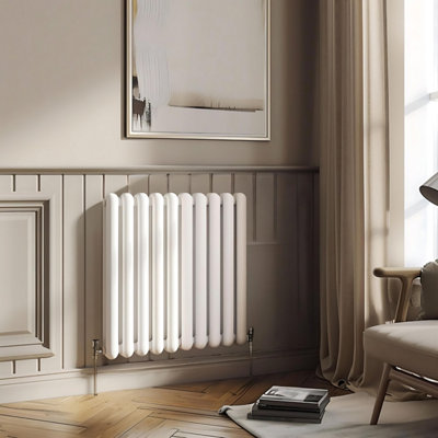 Plum&Clay Estelle White Horizontal Double Column Radiator (H)600mm (W)622mm