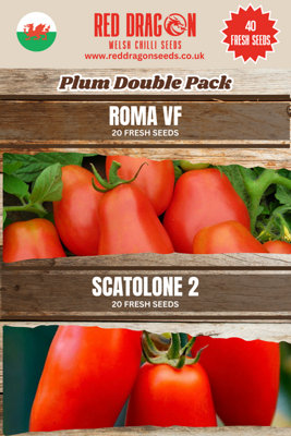 Plum Tomato Seeds Double Pack - 40 Fresh Seeds