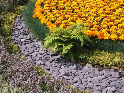 Plum Welsh Slate Chippings 40mm - 25 bag (500kg) - 6