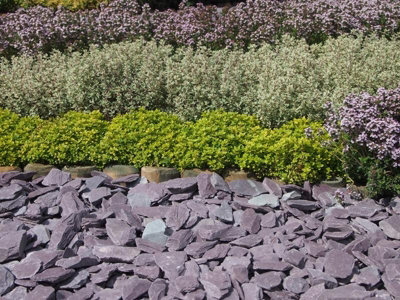 Plum Welsh Slate Chippings 40mm - Bulk Bag (800kg) - 7