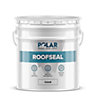 Polar Roof Seal Paint Clear 20KG Instant Waterproof Roof Sealant