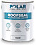 Polar Roof Seal Paint Clear 5kg Instant Waterproof Roof Sealant