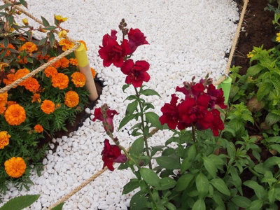 Polar White Spanish Marble Gravel 20mm - 25 Bag (500kg) - 3