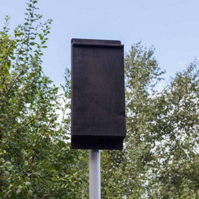 Pole Mounted Large Colony Single Box - No pole - Plywood/Ceramic - L13 x W34 x H78 cm