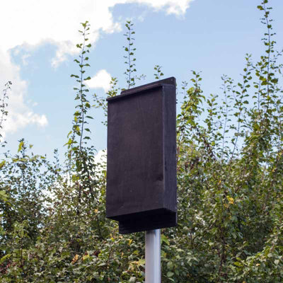 Pole Mounted Large Colony Single Box with 6m pole - Plywood/Ceramic - L13 x W34 x H78 cm