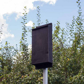 Pole Mounted Roost Maternity Single Box with 4m pole - Plywood/Ceramic - L13 x W26 x H49 cm