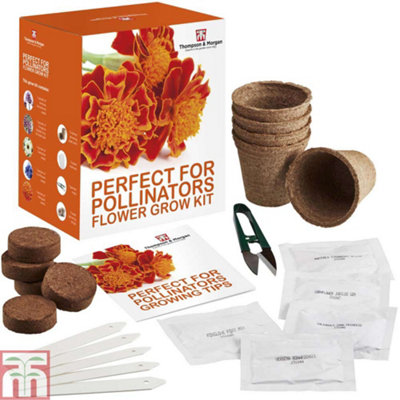 Pollinators Flower Seed Grow Kit - 1 Pack