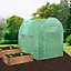 Polytunnel Greenhouse - 4m x 2m with Racking