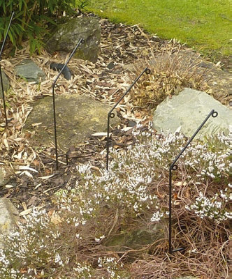 Pond Pest Protection Stakes (Pack of 10) - Stakes With Hooks - Solid ...