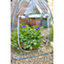 Pop-Up Cloche Plant Pot Cover - Garden Portable Mini Greenhouse Grow House with Zipped Access Panel - Large, H80 x W70 x D70cm