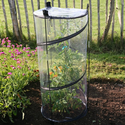 Pop Up Tomato Cloche with External Supports