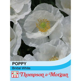 Poppy Bridal White 1 Seed Packet (500 Seeds)