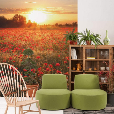 Poppy Field in Sunset Mural - 192x260cm - 5515-4