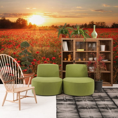 Poppy Field in Sunset Mural - 384x260cm - 5515-8