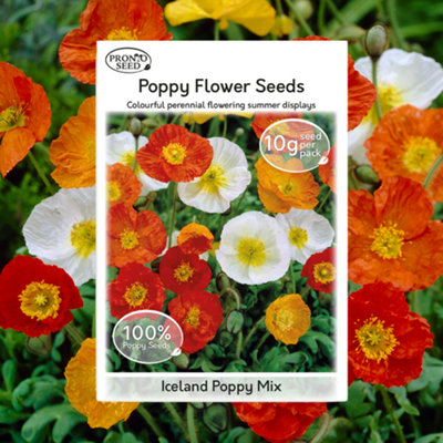 Poppy Flower Seeds - Papaver Nudicaule, Icelandic Poppy - 10g