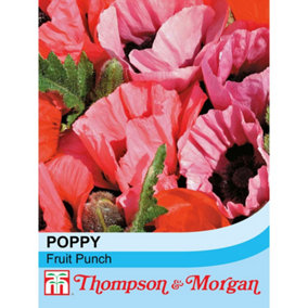Poppy Fruit Punch 1 Seed Packet (40 Seeds + 25% Extra Free)