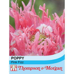 Poppy Pink Fizz 1 Seed Packet (400 Seeds)