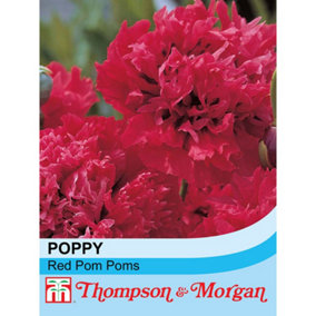 Poppy Red Pom Poms 1 Seed Packet (100 Seeds)