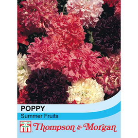 Poppy Summer Fruits 1 Seed Packet (400 Seeds)