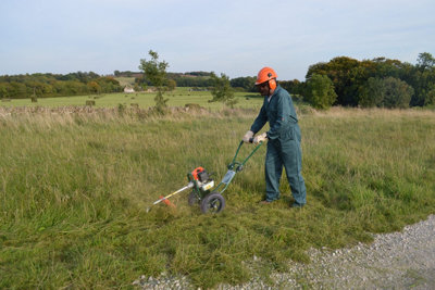 Portek Rufcut Wheeled Grass Trimmer