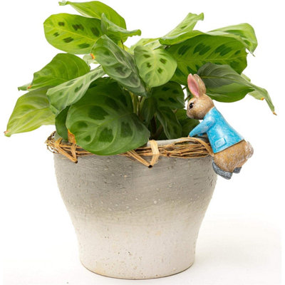 Pot Buddies Plant Pot Ornament - Peter Rabbit Hanging