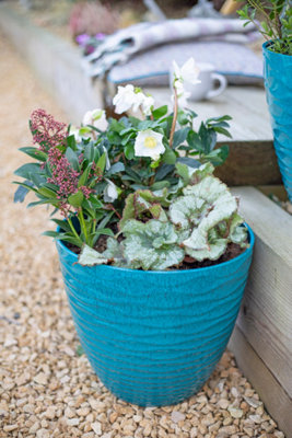 Pot Planter Indoor or Outdoor Lightweight Recycled Plastic Garden Windermere Plant Pot - Plastic - L33 x W33 x H29 cm - Teal