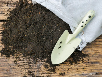 Potato Growing Kit - With Soil, Seed Potatoes & Growing Bag - Beginner Friendly