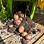 Potato Planter Grow Bags 37 Litre (Set of 2) Non - Woven Aeration Fabric Pots