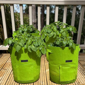 Potato Planter Grow Bags 37 Litre (Set of 4) Non - Woven Aeration Fabric Pots