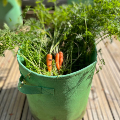 Now 25% OFF! Potato, Carrot, root vegetable Planter Bags, Fabric Pots