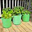 Potato & Vegetable Planter Grow Bags (Set of 5) Non - Woven Aeration Fabric Pots