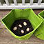 Potato & Vegetable Planter Grow Bags (Set of 5) Non - Woven Aeration Fabric Pots