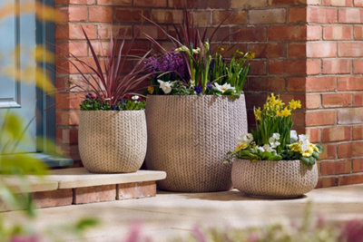 A close up of three containers full of bedding plants besides a front door.