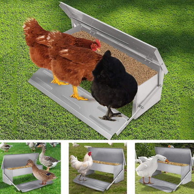 Auto chook outlet feeder