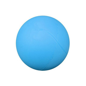 Pre-Sport Uncoated Foam Ball Blue (20cm)