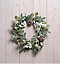 Premier - 50cm Eucalyptus Decorative Wreath, Glittered