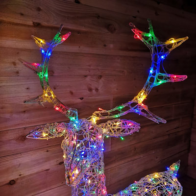 Soft stag new arrivals
