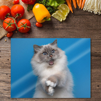 Premium 40 x 30cm 6mm Blue Shocked Cat Worktop Saver Chopping Board Toughened