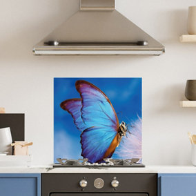 Premium 60cm  x 60cm 6mm Glass Blue Butterfly Kitchen Splashback Toughened Polished Edge