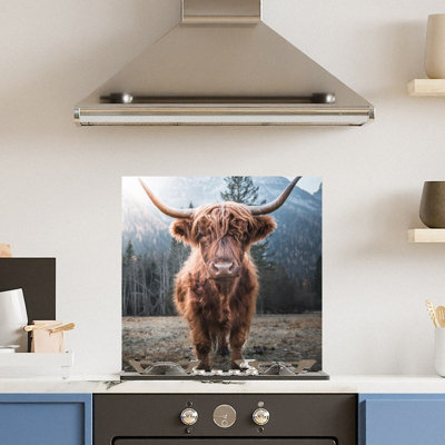 Premium 60cm  x 60cm 6mm Glass Highland Cow Kitchen Splashback Toughened Polished Edge