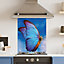 Premium 60cm x 75cm 6mm  Glass Blue Butterfly Kitchen Splashback Various Sizes Toughened - 60 cm