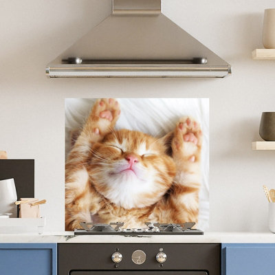 Premium 70cm x 65cm 6mm Glass Cute Cat Kitchen Splashback Toughened Polished Edge